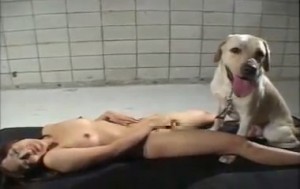 Sex thú phê chó đực cặc to đụ đẳng cấp