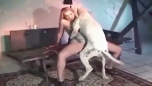 Sex thu người và chó địt nhau trong nhà kho